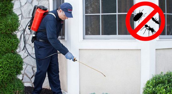 Devrekani Hamam Böceği İlaçlama böcek ilaçlama ve haşere kontrolü — ilaclama-tr.com